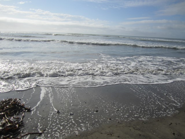 IMG_1137.JPG